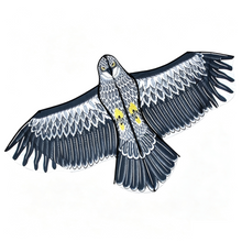 Load image into Gallery viewer, New Best Seller 1.35m Eagle Kite