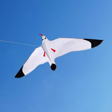 Load image into Gallery viewer, 2026 New Seagull Kites for Kids and Adults