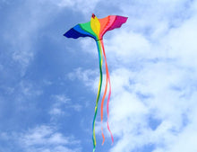 Load image into Gallery viewer, Easy to Fly 46-Inch Phoenix Kite