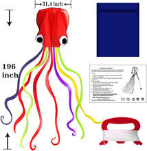 Load image into Gallery viewer, Hengda Kite Soft Octopus Kite