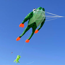 Load image into Gallery viewer, 2026 New 3D Frog Kite
