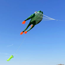 Load image into Gallery viewer, 2026 New 3D Frog Kite