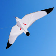 Load image into Gallery viewer, 2026 New Seagull Kites for Kids and Adults