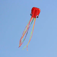 Load image into Gallery viewer, Hengda Kite Soft Octopus Kite