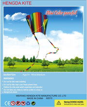 Load image into Gallery viewer, Rainbow Parafoil Kite with Long Tail