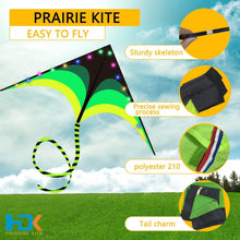 Load image into Gallery viewer, Green Black LED Delta Kite with 30 Lights