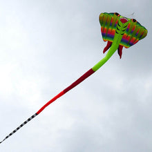 Load image into Gallery viewer, New Arrival Inflatable Devil Fish Kite
