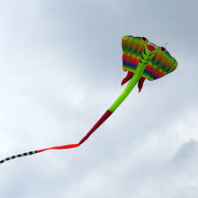 Load image into Gallery viewer, New Arrival Inflatable Devil Fish Kite