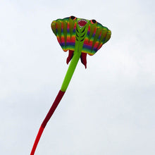 Load image into Gallery viewer, New Arrival Inflatable Devil Fish Kite