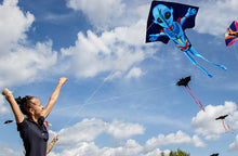 Load image into Gallery viewer, New Funny Alien Kite For Kids