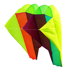 Load image into Gallery viewer, New Soft Pacesetter kite