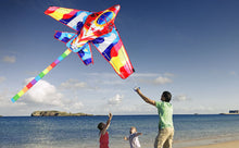 Load image into Gallery viewer, Outdoor Funny New Polyester Plane Kite