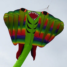 Load image into Gallery viewer, New Arrival Inflatable Devil Fish Kite