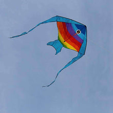 Load image into Gallery viewer, Easy Flying Fish Kite