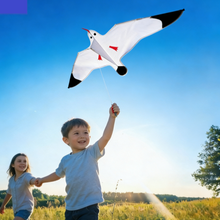Load image into Gallery viewer, 2026 New Seagull Kites for Kids and Adults
