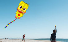 Load image into Gallery viewer, 2026 New Outdoor Soft Duck kite