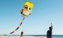 Load image into Gallery viewer, Cartoon Soft Owl Kite