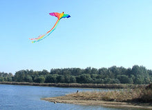 Load image into Gallery viewer, hot sale Phoenix Kites 74-Inch