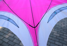 Load image into Gallery viewer, easy to fly fox animal kites
