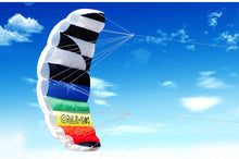 Load image into Gallery viewer, 55 inch power kite-hybrid power