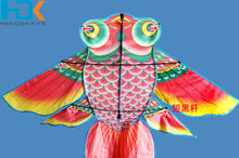Load image into Gallery viewer, outdoor sport goldfish kids kite