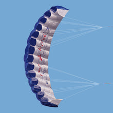 Load image into Gallery viewer, Dual line power kite-bird