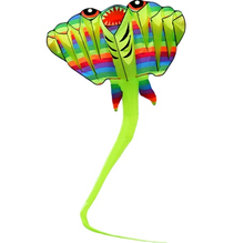 Load image into Gallery viewer, New Arrival Inflatable Devil Fish Kite
