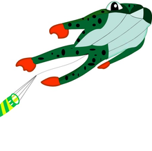 Load image into Gallery viewer, 2026 New 3D Frog Kite
