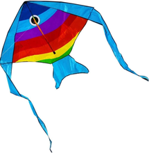 Load image into Gallery viewer, Easy Flying Fish Kite

