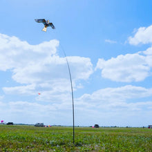 Load image into Gallery viewer, Bird Scarer Flying Kite Without Pole Bule
