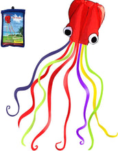 Load image into Gallery viewer, Hengda Kite Soft Octopus Kite
