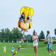 Load image into Gallery viewer, Cartoon Soft Owl Kite
