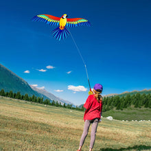 Load image into Gallery viewer, 2 Pack Fishing Rod Kite for Kids and Adults
