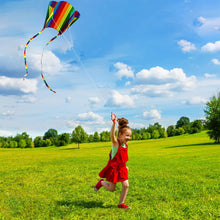 Load image into Gallery viewer, Rainbow Parafoil Kite with Long Tail
