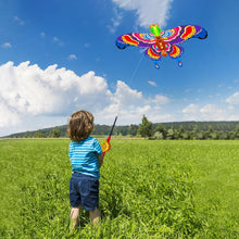 Load image into Gallery viewer, 2 Pack Fishing Rod Kite for Kids and Adults
