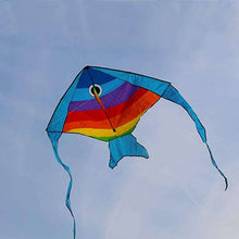 Load image into Gallery viewer, Easy Flying Fish Kite
