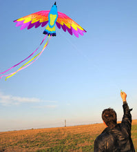 Load image into Gallery viewer, Beautiful Flying Paradise Kite
