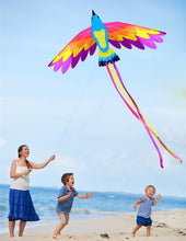 Load image into Gallery viewer, Beautiful Flying Paradise Kite
