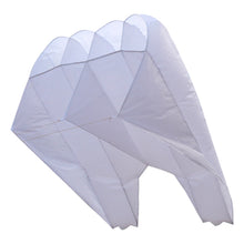 Load image into Gallery viewer, New Soft Pacesetter kite
