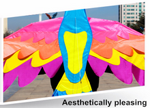 Load image into Gallery viewer, Beautiful Flying Paradise Kite
