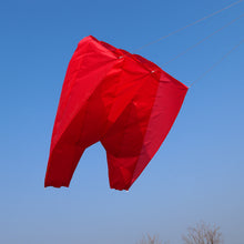 Load image into Gallery viewer, New Soft Pacesetter kite
