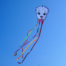 Load image into Gallery viewer, 2026 New 3 Pack Octopus Kite
