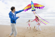 Load image into Gallery viewer, Beautiful Flying Paradise Kite
