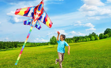 Load image into Gallery viewer, Outdoor Funny New Polyester Plane Kite
