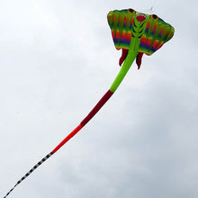 Load image into Gallery viewer, New Arrival Inflatable Devil Fish Kite
