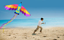 Load image into Gallery viewer, Beautiful Flying Paradise Kite
