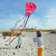 Load image into Gallery viewer, 2026 New 3 Pack Octopus Kite
