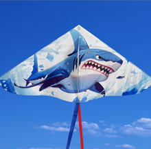 Load image into Gallery viewer, New Cartoon Animal Delta Kites
