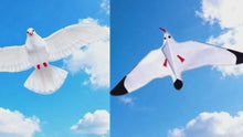 Load and play video in Gallery viewer, Pigeon Kites for Kids and Adults
