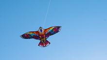 Load and play video in Gallery viewer, Colorful Design Eagle Kite
